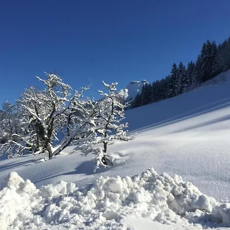 In Near Slopes, Cleaning Included *