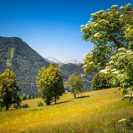 Apartment In Near Slopes, Cleaning Included Mittersill